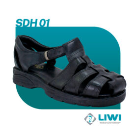 SDH01
