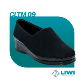 CLTM09