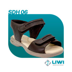 SDH06