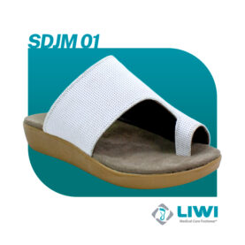 SDJM01