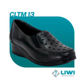 CLTM13