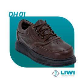 DH01