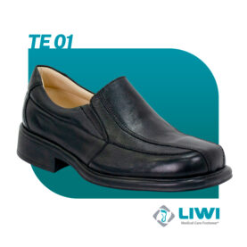 TE01