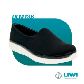 DLM13B