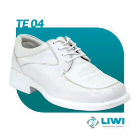 TE04