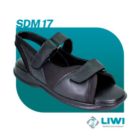 SDM17
