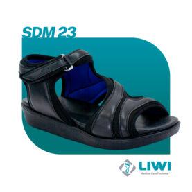 SDM23