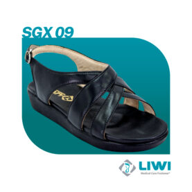 SGX09